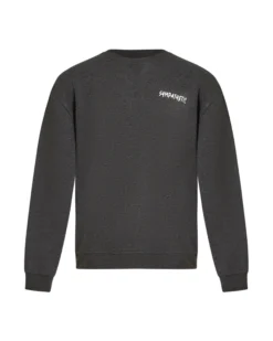 Pierre boxy crewneck