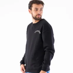 Pierre boxy crewneck